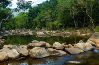 Damac Islands 2 Amenities - Jungle river